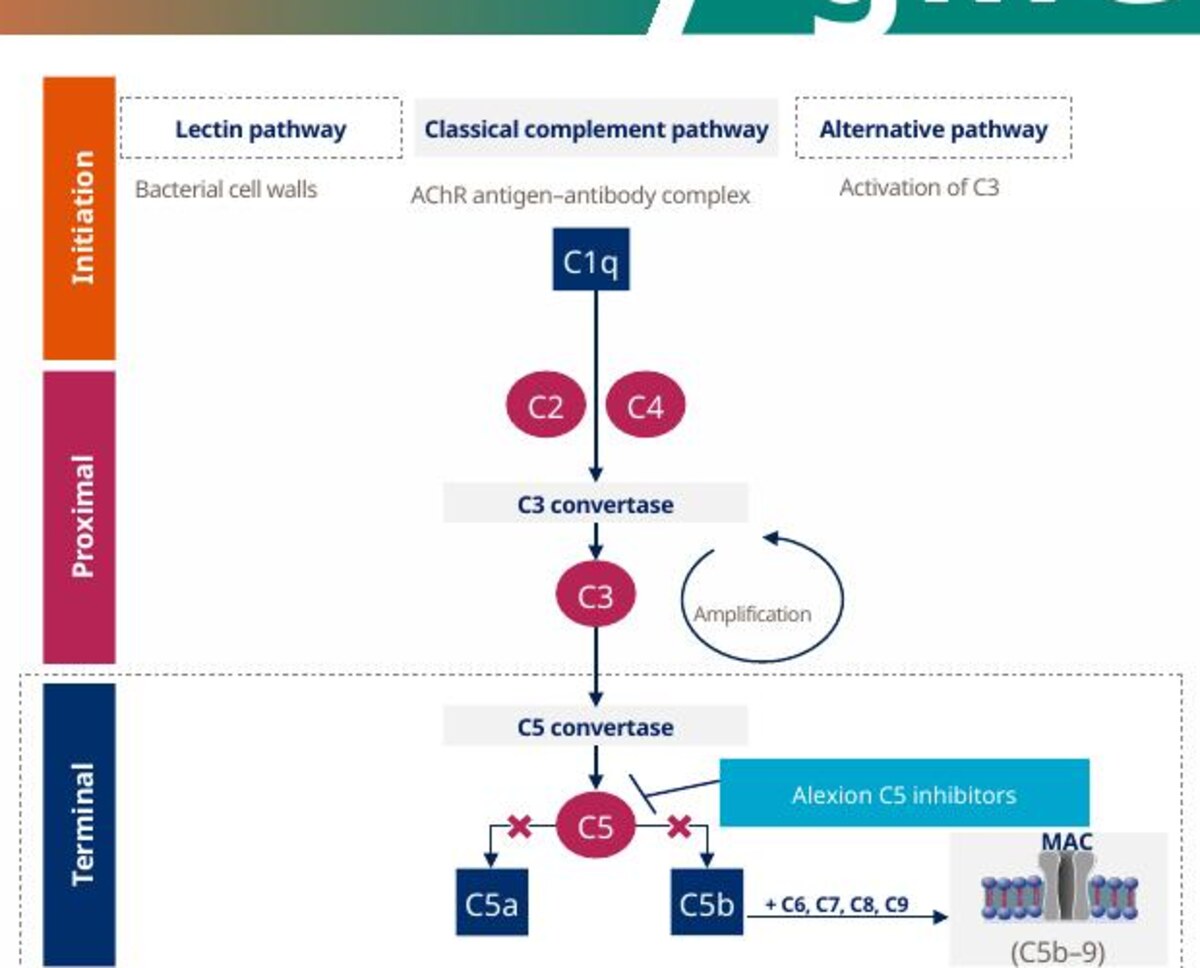 Cropped scientific diagram showing complement activation pathways and C5 inhibition