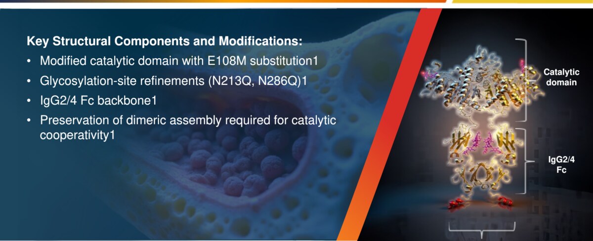 Cropped scientific slide explaining structural components of an engineered molecule