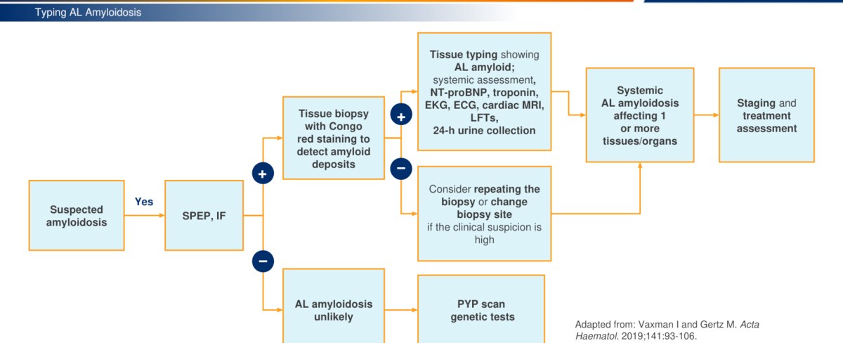 Cropped diagnostic algorithm showing the sequence from suspicion to typing and staging